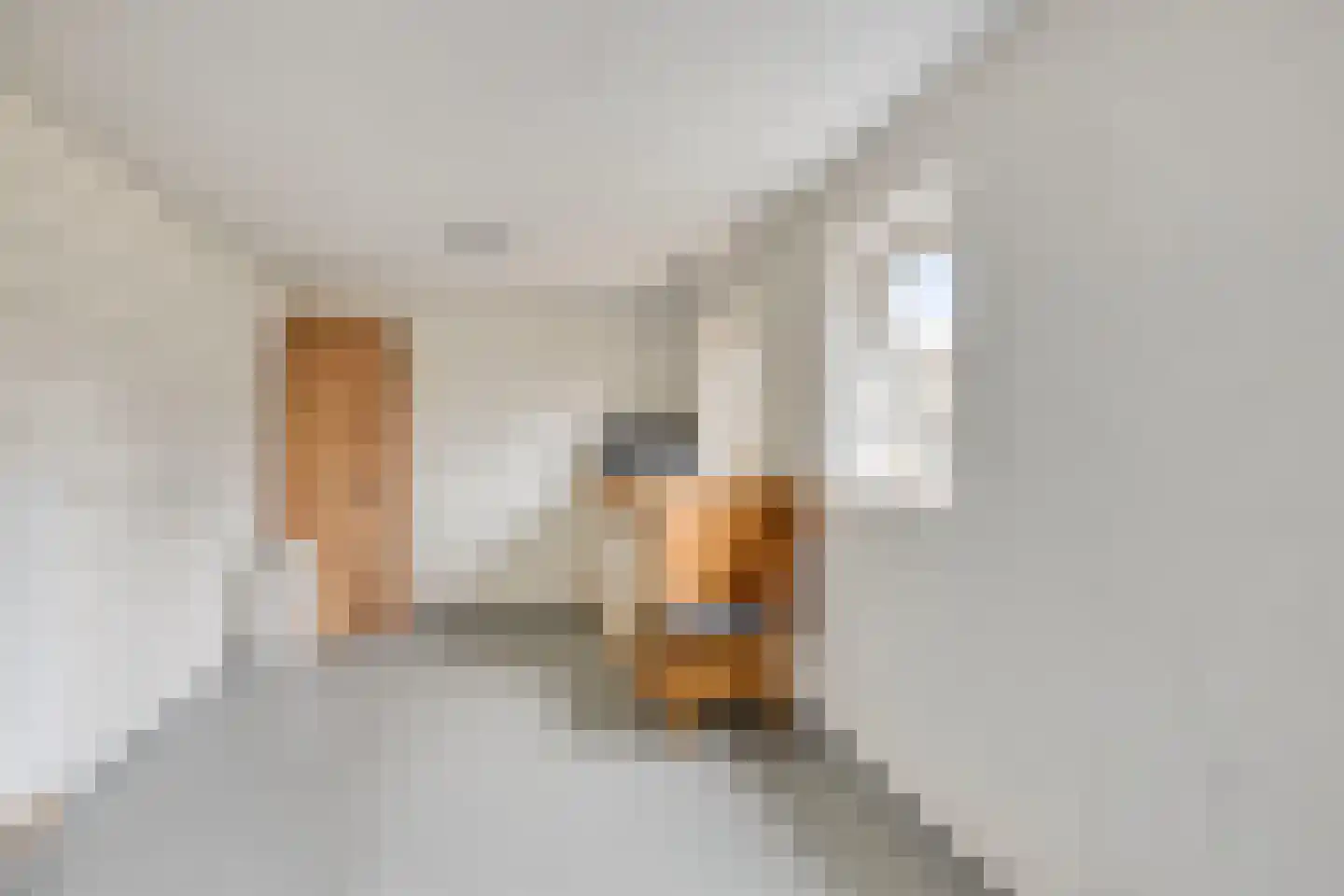 Klieftstraat 50 Hippolytushoef thumbnail 25