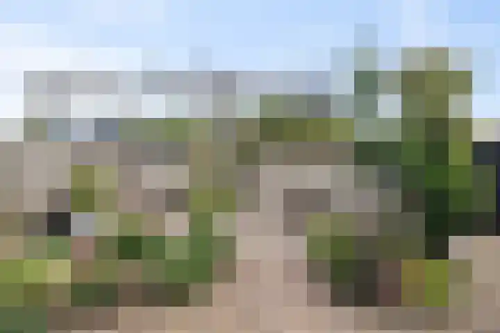 Klieftstraat 50 Hippolytushoef thumbnail 4