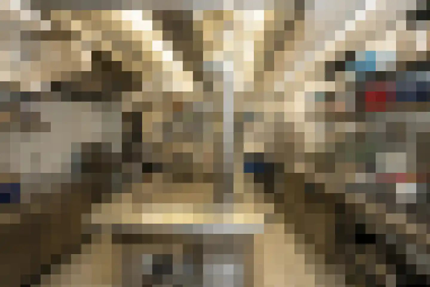 Klif 12 Den Hoorn thumbnail 58