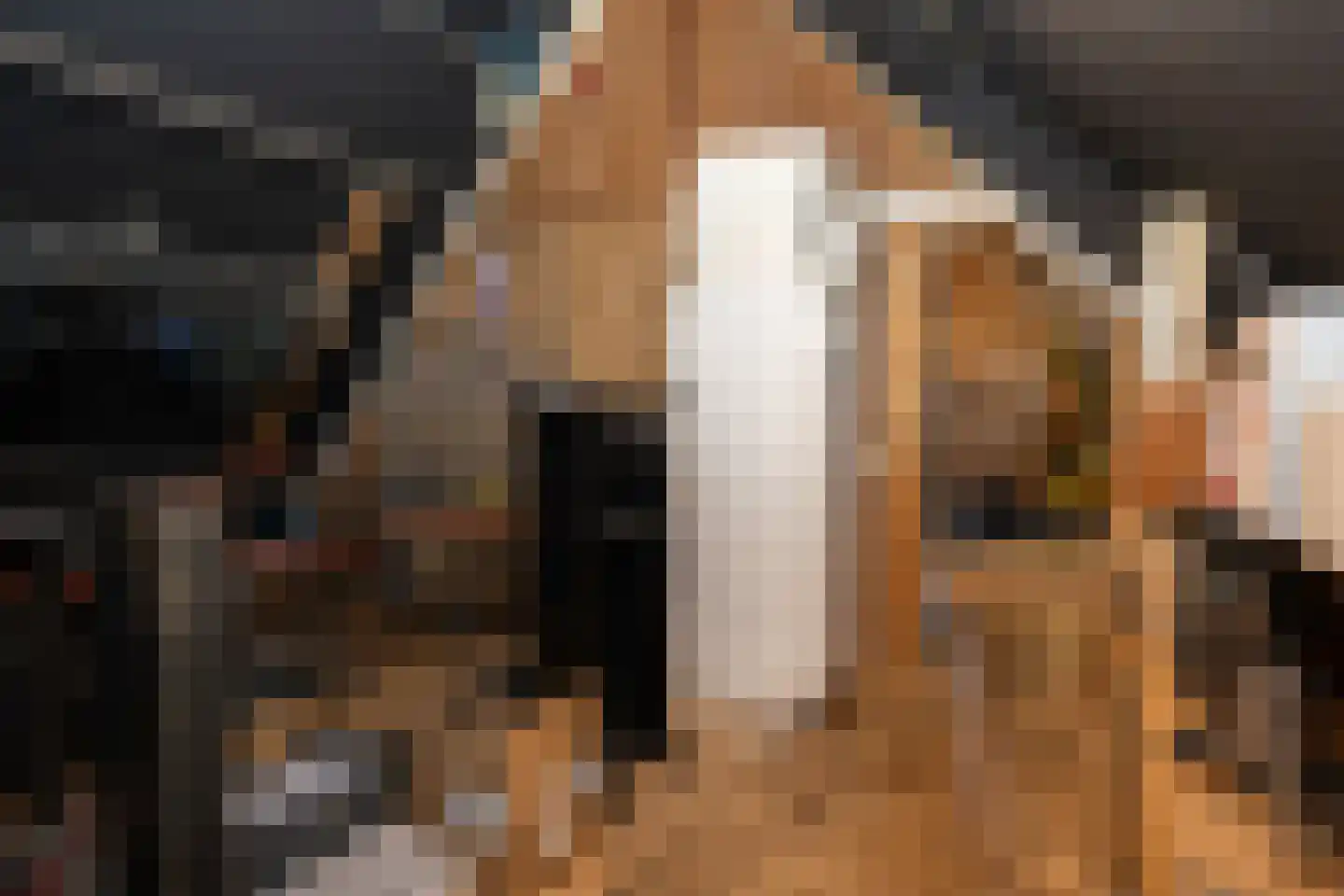 Klif 12 Den Hoorn thumbnail 70