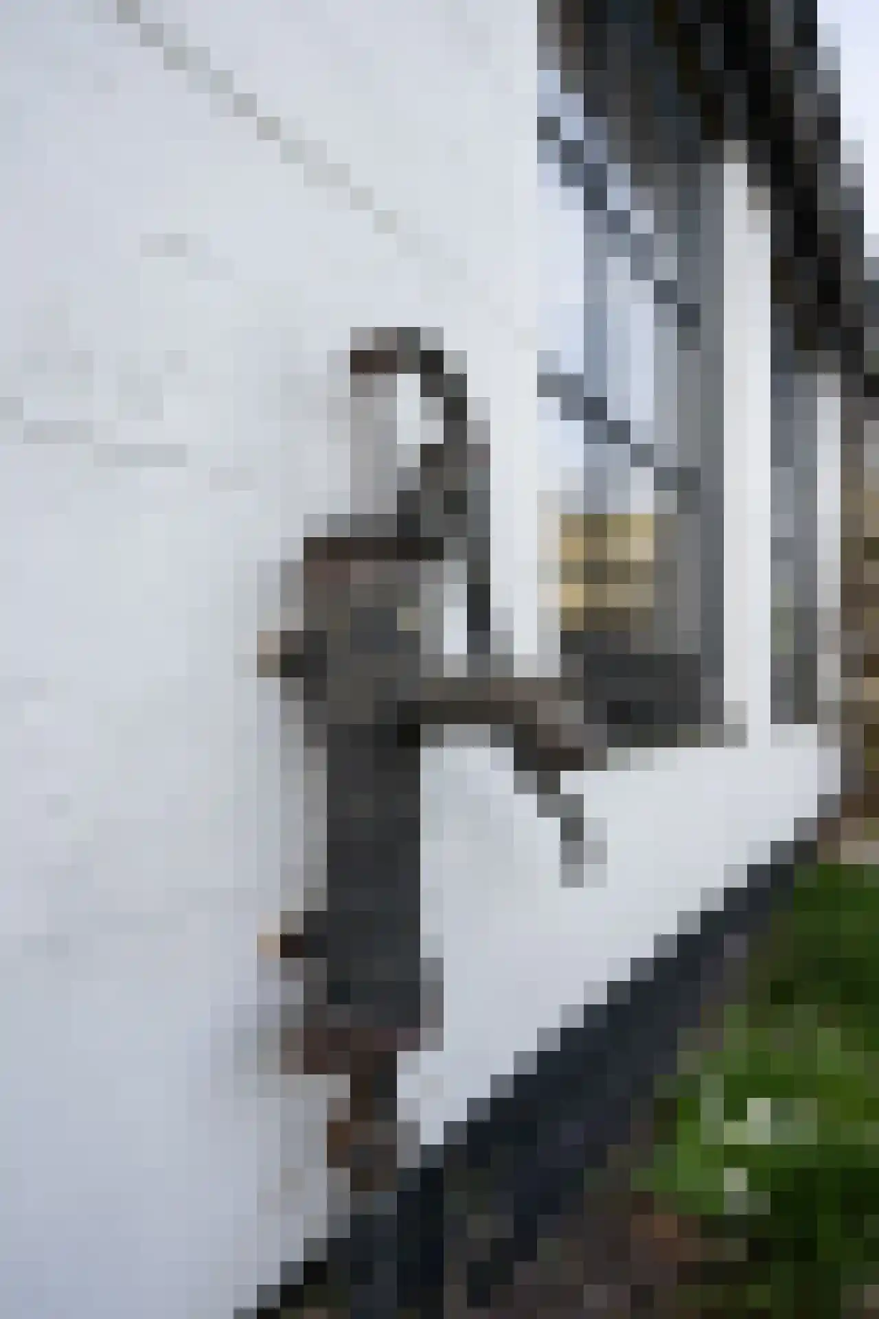 Klif 22 Den Hoorn thumbnail 100