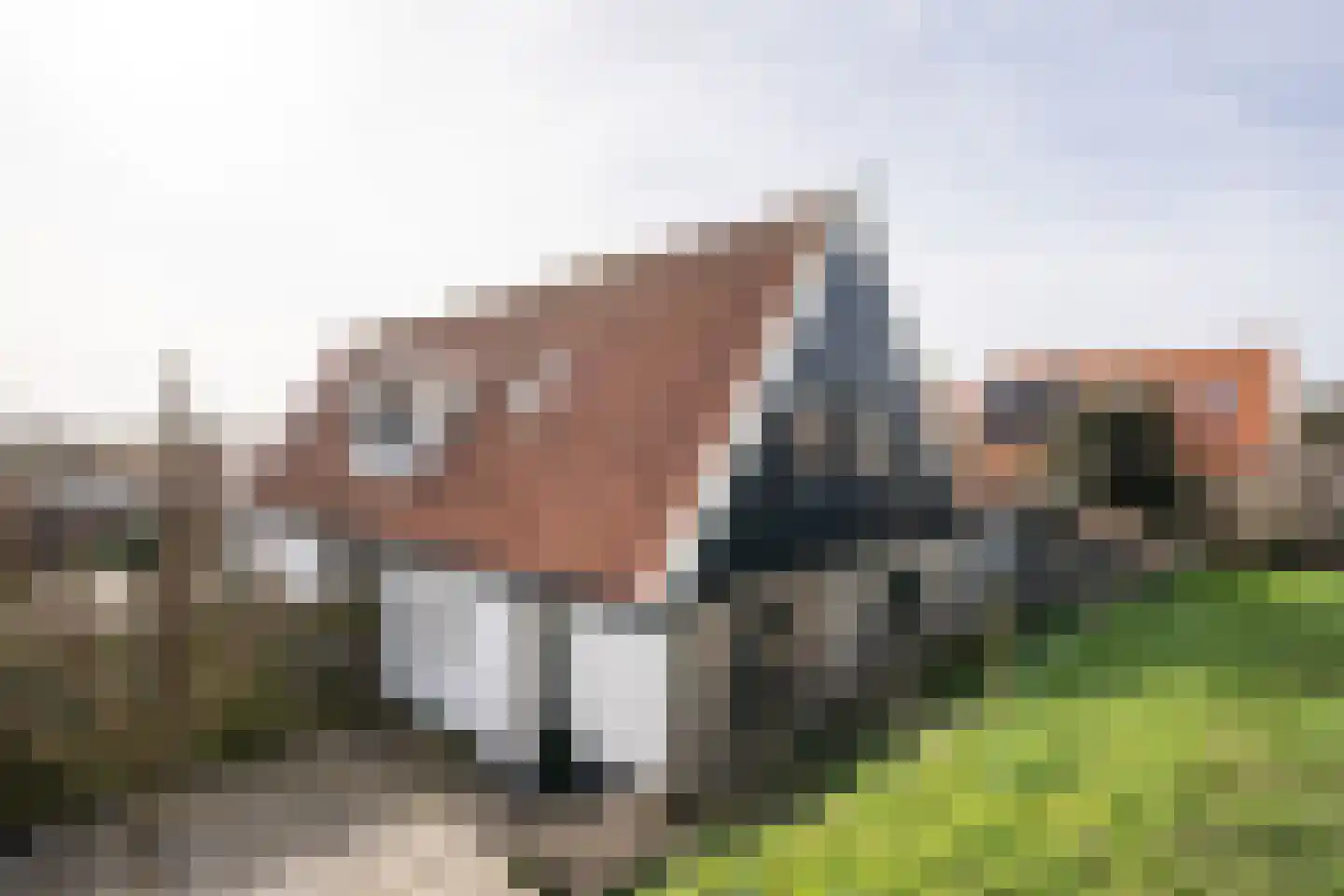 Klif 22 Den Hoorn thumbnail 105