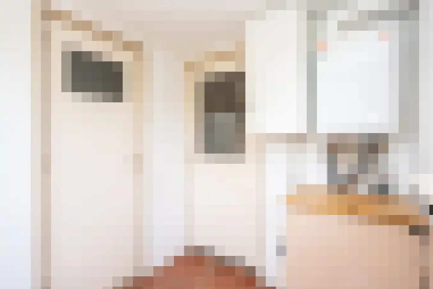 Klif 22 Den Hoorn thumbnail 23