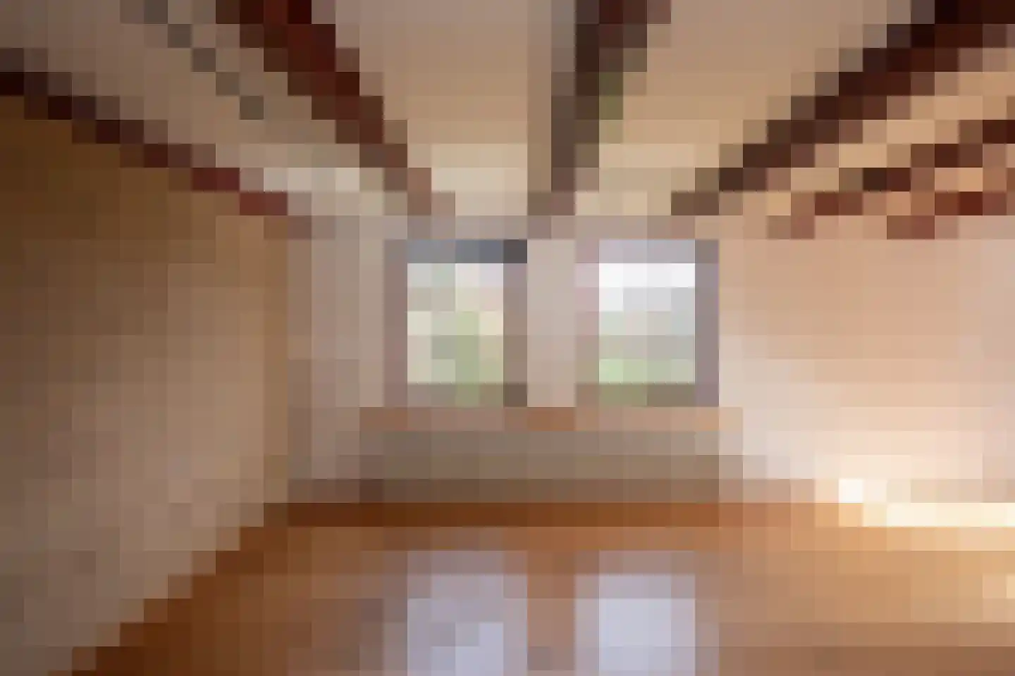 Klif 22 Den Hoorn thumbnail 7