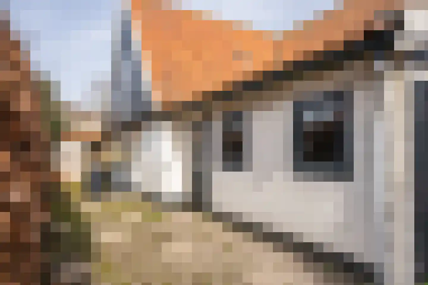 Klif 22 Den Hoorn thumbnail 70