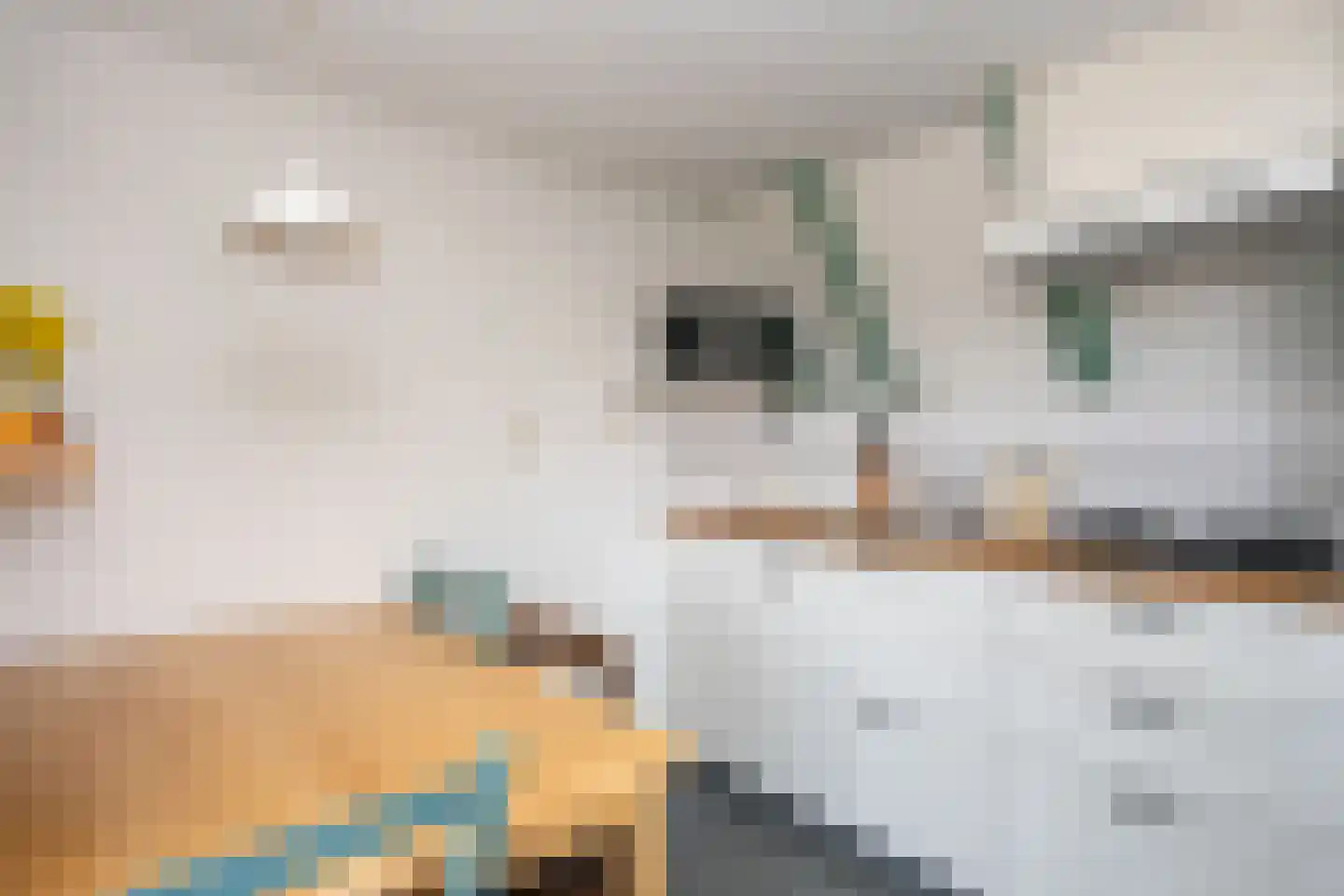 Klif 22 Den Hoorn thumbnail 84