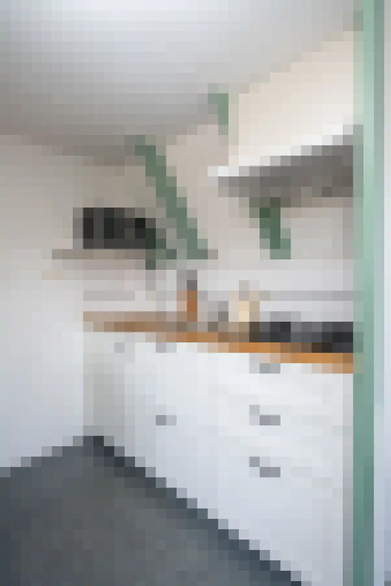 Klif 22 Den Hoorn thumbnail 85