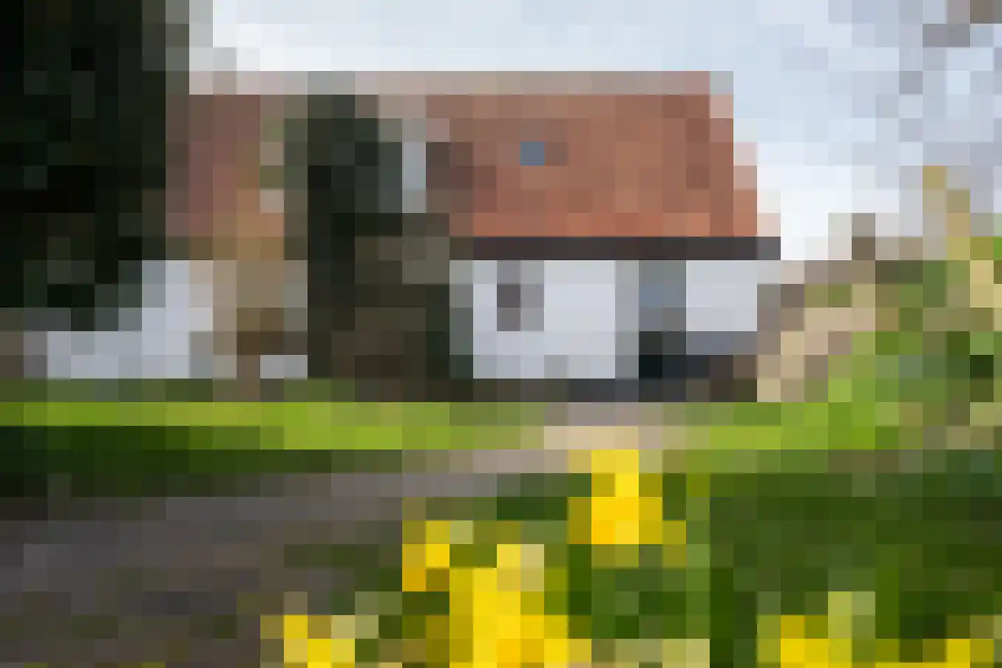 Klif 22 Den Hoorn thumbnail 93