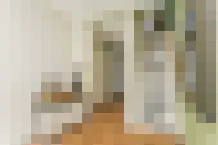 Klifrakplantsoen 117 Utrecht thumbnail 13