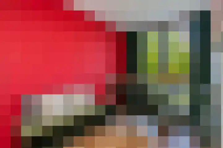 Klifrakplantsoen 117 Utrecht thumbnail 15
