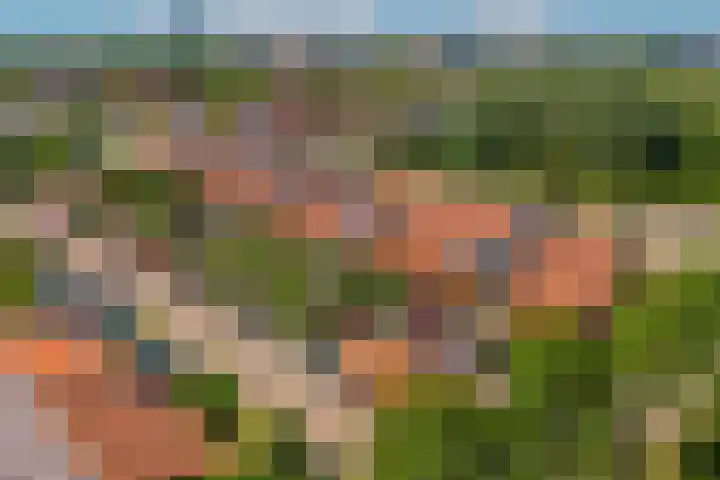 Klifrakplantsoen 117 Utrecht thumbnail 30