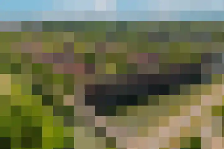 Klifrakplantsoen 117 Utrecht thumbnail 31