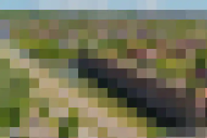 Klifrakplantsoen 117 Utrecht thumbnail 32