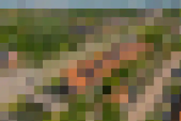 Klifrakplantsoen 117 Utrecht thumbnail 33