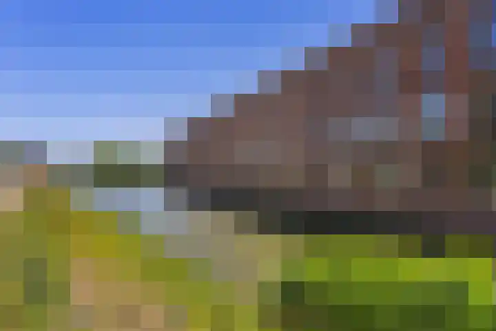 Klifrakplantsoen 117 Utrecht thumbnail 34