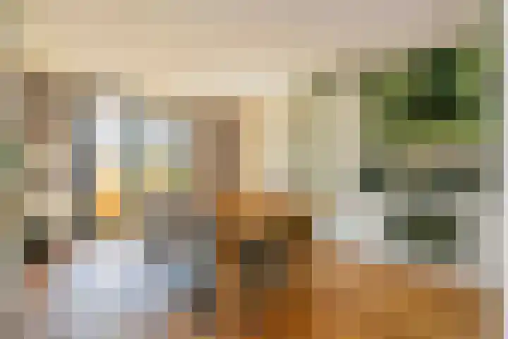 Klifrakplantsoen 117 Utrecht thumbnail 4