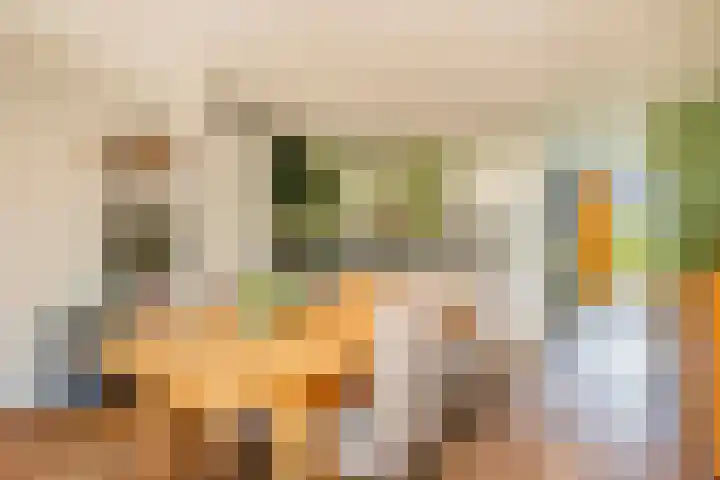 Klifrakplantsoen 117 Utrecht thumbnail 5