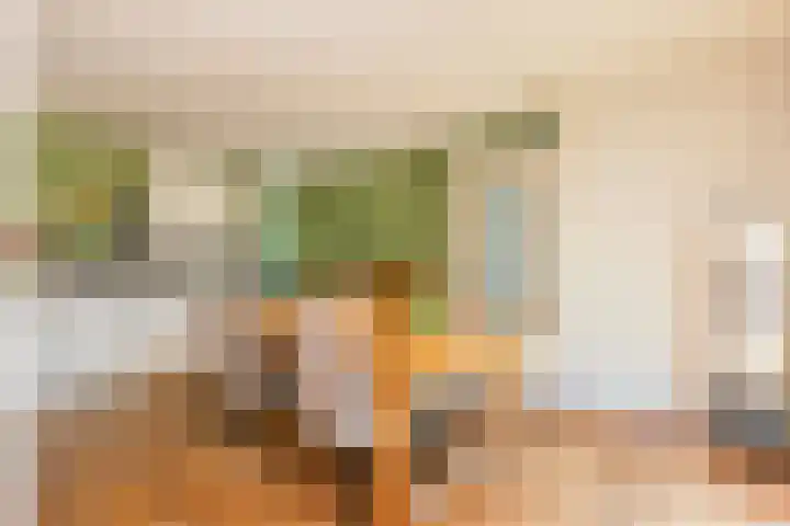 Klifrakplantsoen 117 Utrecht thumbnail 9