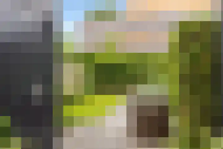 Klifrakplantsoen 20 De Meern thumbnail 13