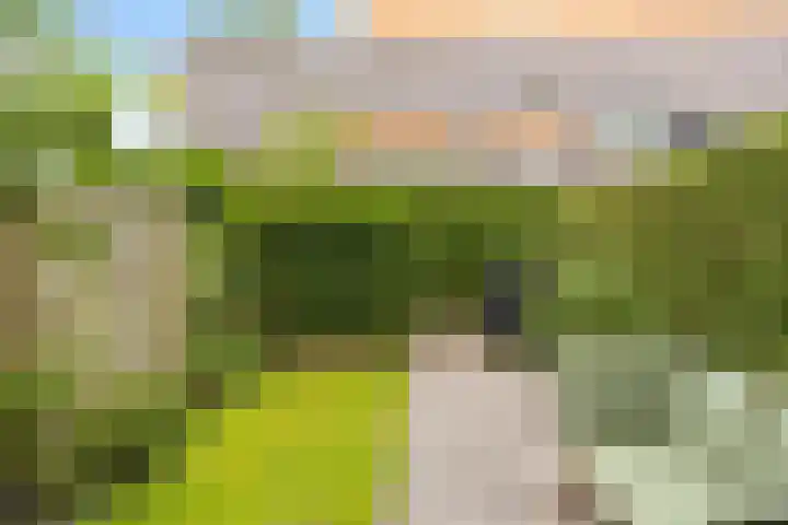 Klifrakplantsoen 20 De Meern thumbnail 14