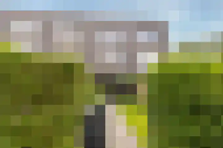 Klifrakplantsoen 20 De Meern thumbnail 15