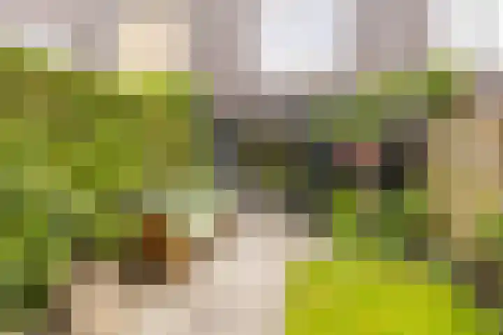 Klifrakplantsoen 20 De Meern thumbnail 16