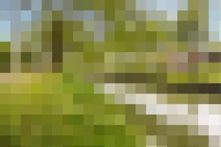 Klifrakplantsoen 20 De Meern thumbnail 17