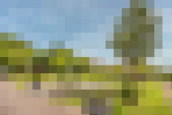 Klifrakplantsoen 20 De Meern thumbnail 33