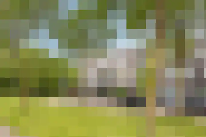 Klifrakplantsoen 20 De Meern thumbnail 36