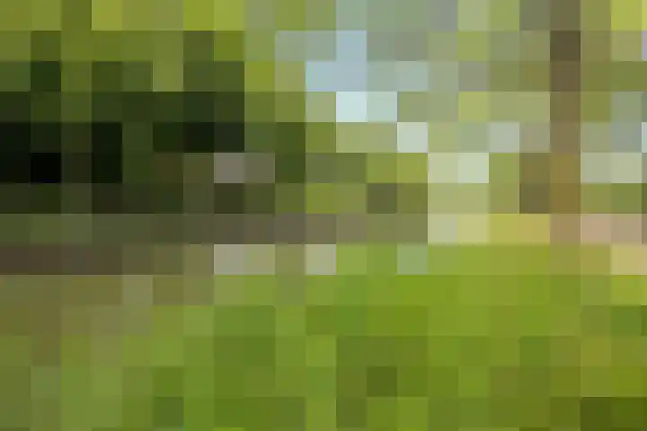 Klifrakplantsoen 20 De Meern thumbnail 40