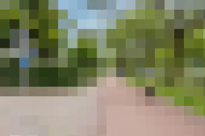 Klifrakplantsoen 20 De Meern thumbnail 41