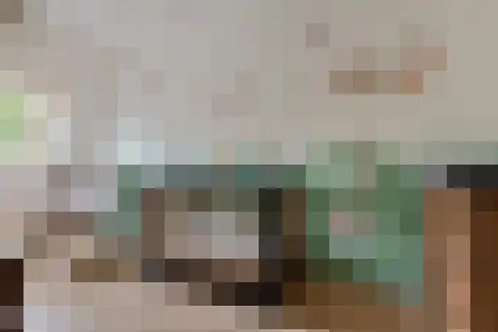 Klifrakplantsoen 236 Utrecht thumbnail 21