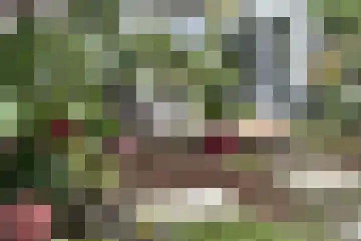 Klifrakplantsoen 236 Utrecht thumbnail 27