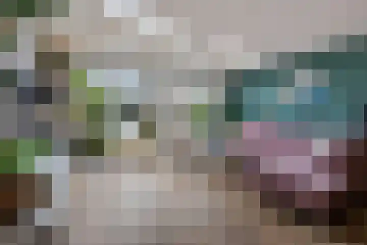 Klifrakplantsoen 236 Utrecht thumbnail 6