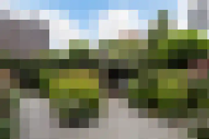 Klifrakplantsoen 48 Utrecht thumbnail 15