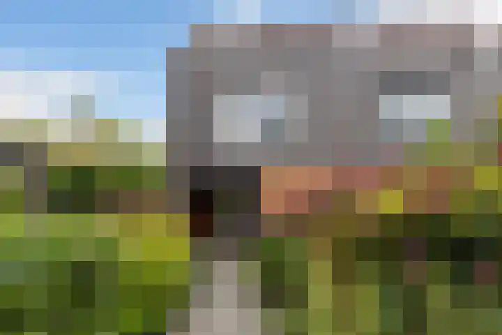 Klifrakplantsoen 48 Utrecht thumbnail 17