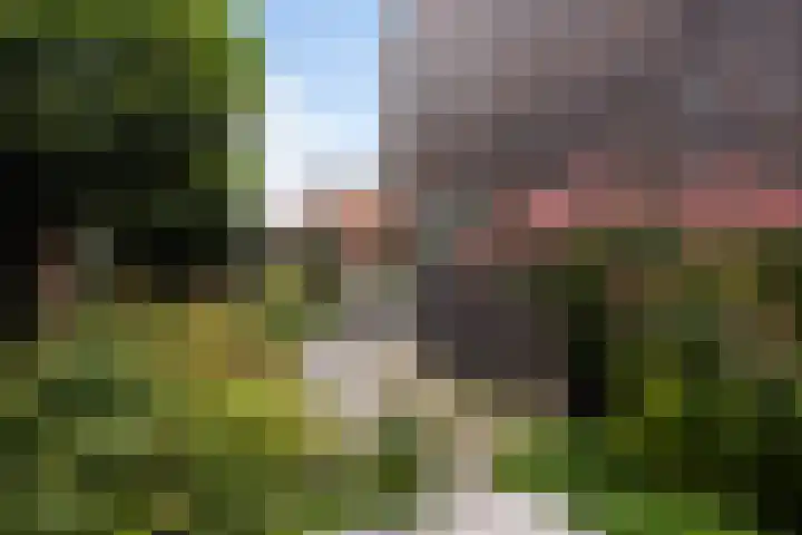 Klifrakplantsoen 48 Utrecht thumbnail 19