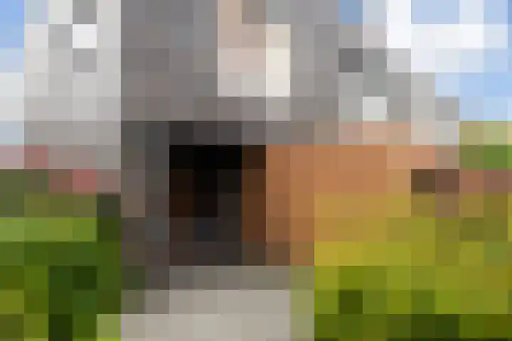 Klifrakplantsoen 48 Utrecht thumbnail 21