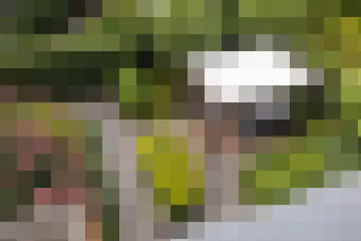 Klifrakplantsoen 48 Utrecht thumbnail 22