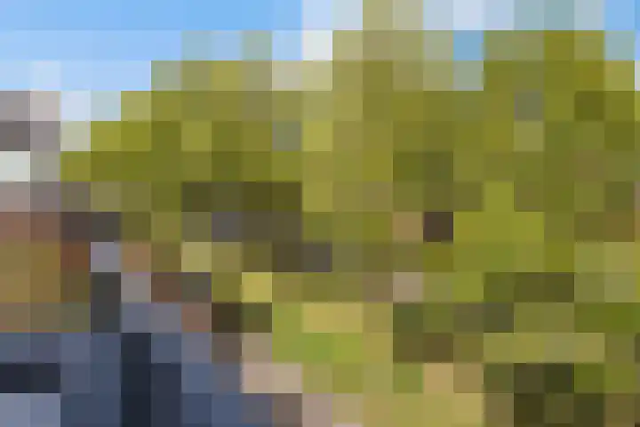 Klifrakplantsoen 48 Utrecht thumbnail 32