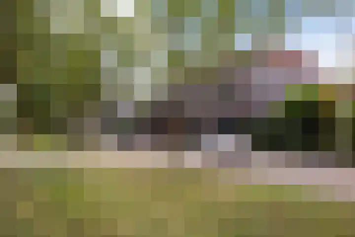 Klifrakplantsoen 48 Utrecht thumbnail 37