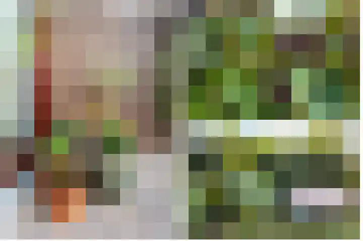 Klifrakplantsoen 58 Utrecht thumbnail 24