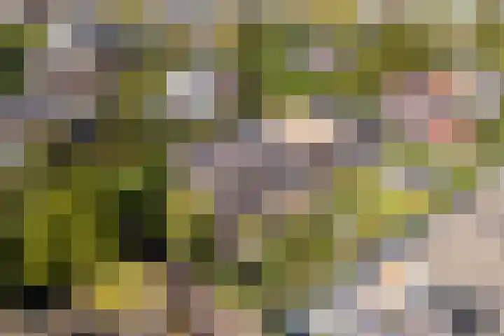 Klifrakplantsoen 58 Utrecht thumbnail 25