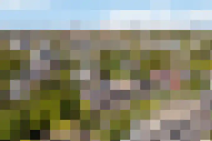 Klifrakplantsoen 58 Utrecht thumbnail 26