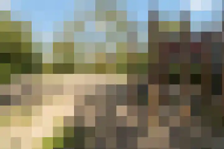 Klifrakplantsoen 58 Utrecht thumbnail 32