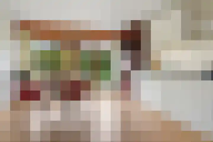 Klifrakplantsoen 58 Utrecht thumbnail 5