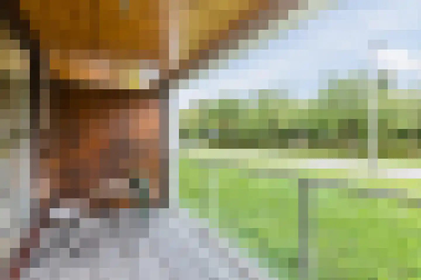 Klifrakplantsoen 6 De Meern thumbnail 19