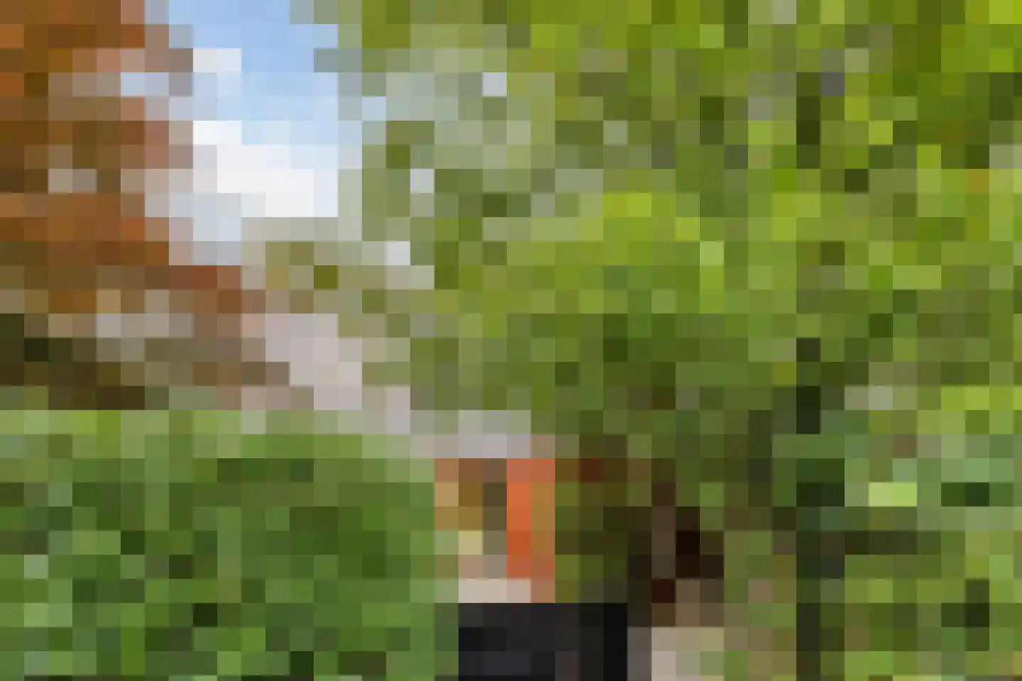 Klifrakplantsoen 6 De Meern thumbnail 59