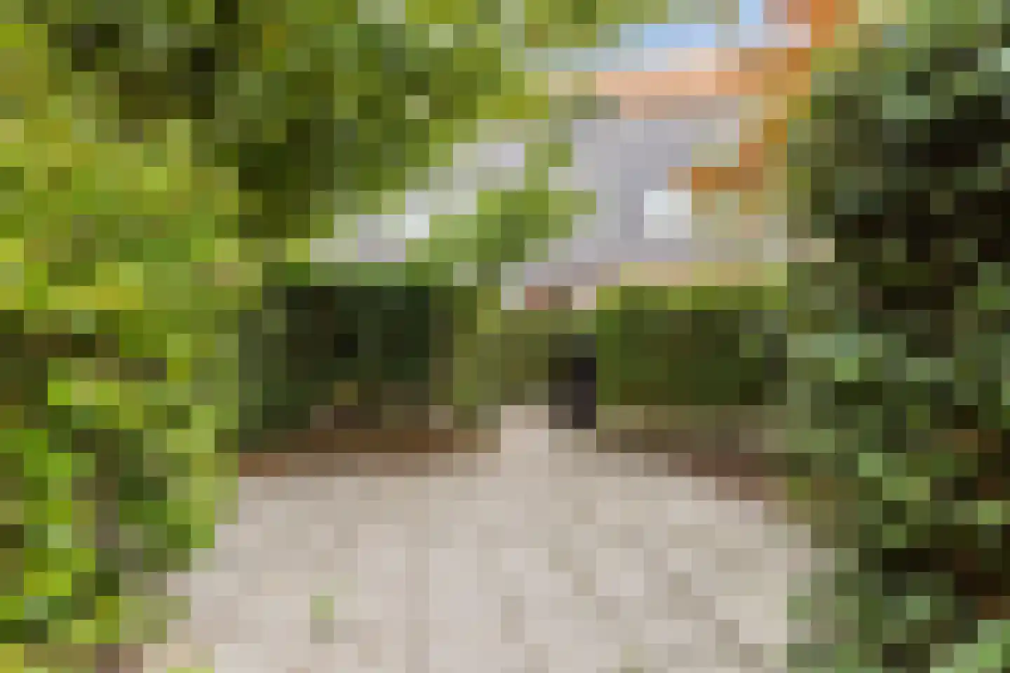 Klifrakplantsoen 6 De Meern thumbnail 60