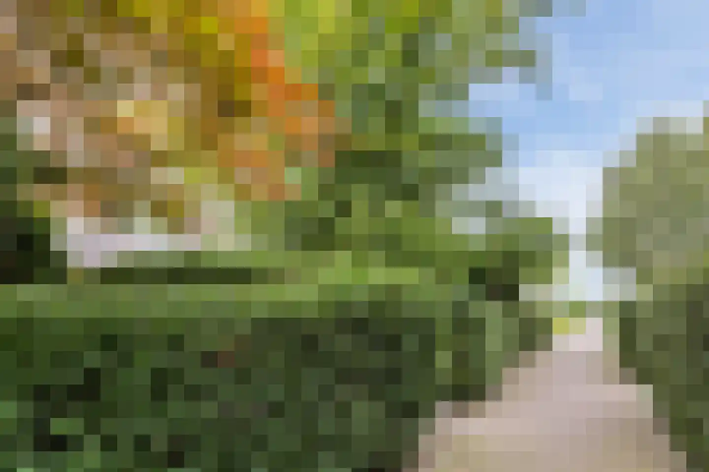 Klifrakplantsoen 6 De Meern thumbnail 62